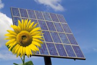 /album/fotogaleria-inicio/convencion-energia-renovable1-jpg/